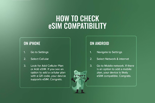 Mint Fox with a sign, "How to check eSIM compatibility"