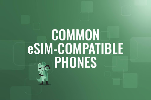 Common eSIM compatible phones