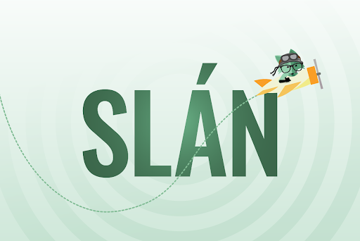 Mint Fox flying to Ireland