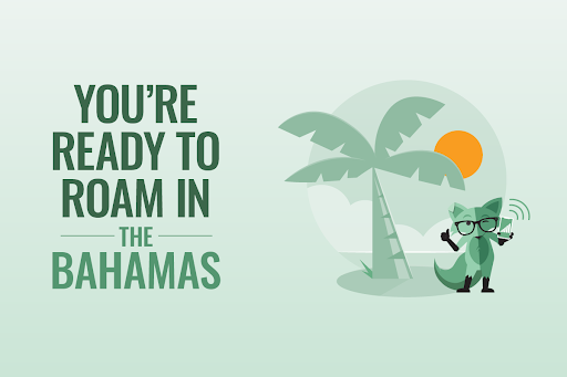 Mint Fox: "You're ready to roam in The Bahamas"