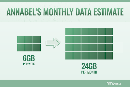 Annabel's monthly data estimate