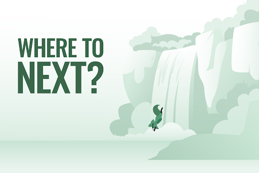 Mint Fox thinking where to next?