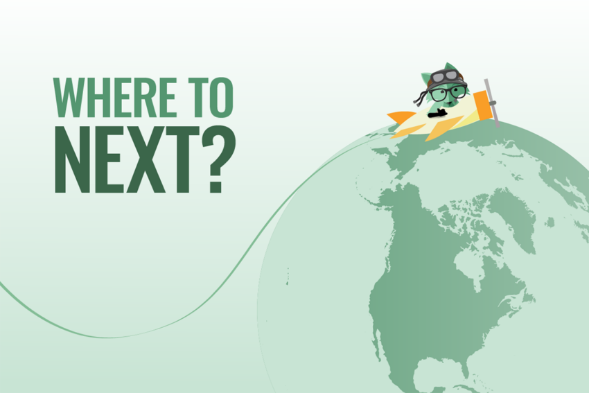 Mint Fox wondering where he is traveling to next