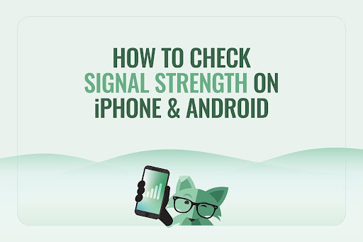 Mint Mobile fox mascot holding a smartphone displaying signal bars, with the heading "How to Check Signal Strength on iPhone and Android"