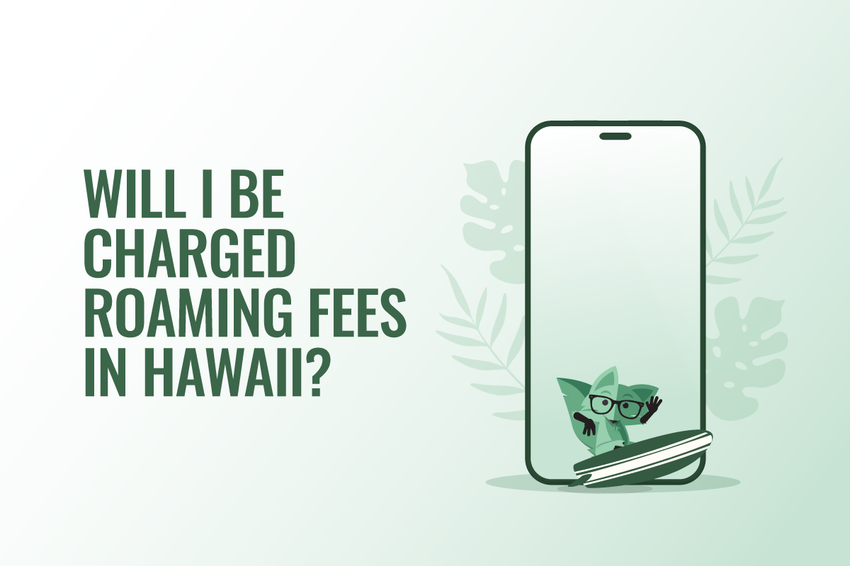 Green illustration of a fox mascot surfing at the bottom of a smartphone screen, surrounded by tropical leaves, beside the text “Will I be charged roaming fees in Hawaii?”